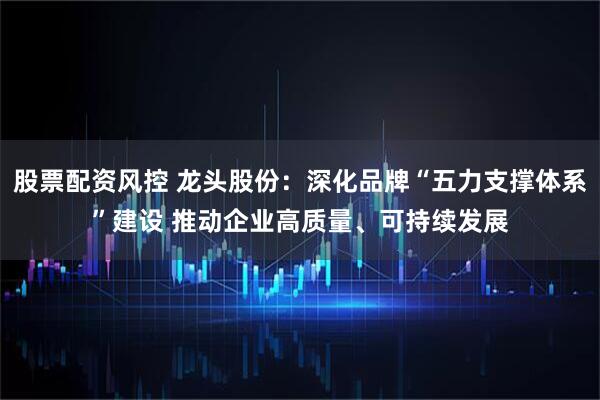 股票配资风控 龙头股份：深化品牌“五力支撑体系”建设 推动企业高质量、可持续发展