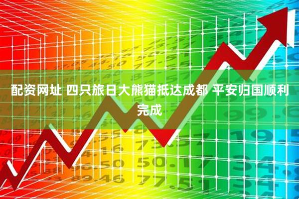 配资网址 四只旅日大熊猫抵达成都 平安归国顺利完成