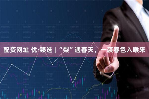 配资网址 优·臻选 | “梨”遇春天，一袭春色入喉来