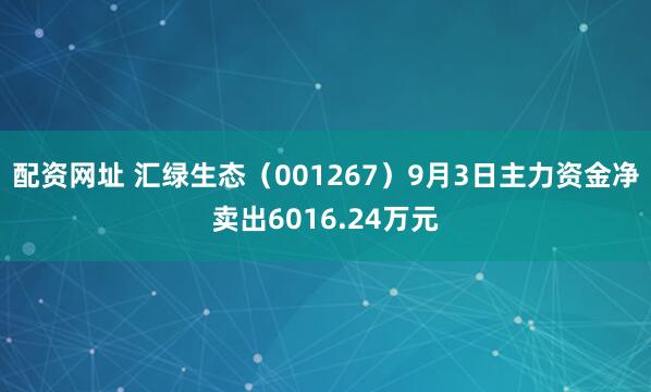 配资网址 汇绿生态（001267）9月3日主力资金净卖出6016.24万元